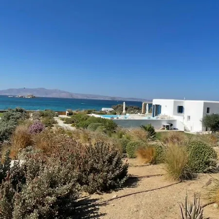 Salt מיקרי ויגלה